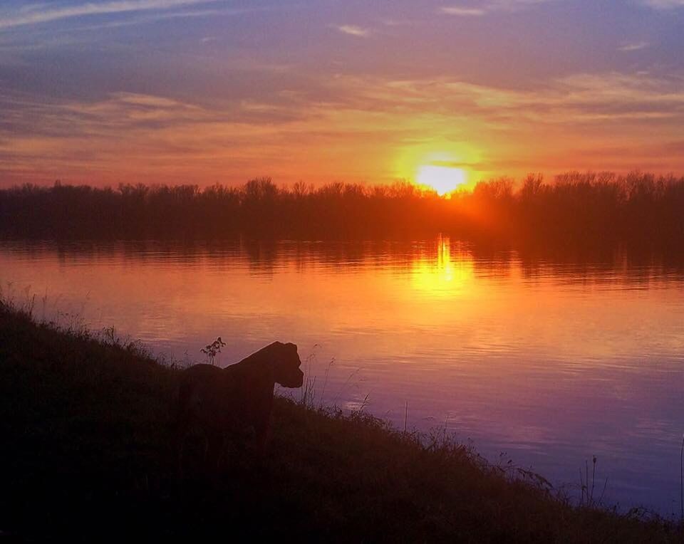 sunset, water, lake, tranquil scene, reflection, tranquility, scenics, beauty in nature, sky, silhouette, sun, orange color, nature, tree, idyllic, lakeshore, sunlight, cloud - sky, river, non-urban scene