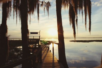 Palm trees by swimming pool against sky during sunset