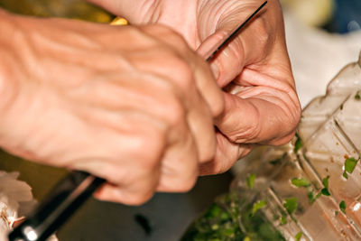 Close-up of person holding hands