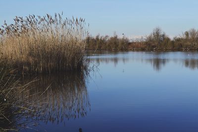 Scenic view of lake against sky