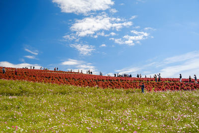 Scenic view of field against sky