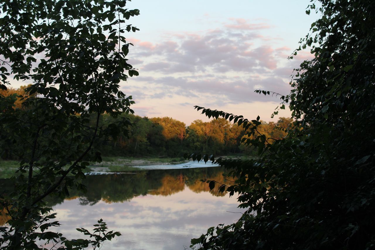 tree, sunset, reflection, water, sky, nature, lake, outdoors, no people, reflection lake, landscape, animal themes, day