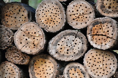 Bee hotel in park