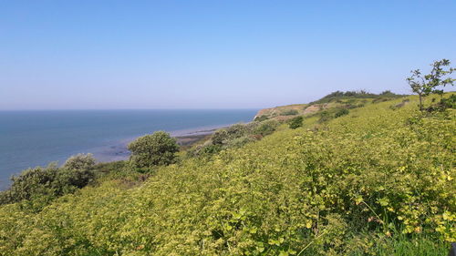 Scenic view of sea against clear sky