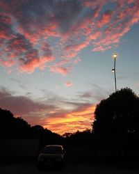 Silhouette of trees at sunset