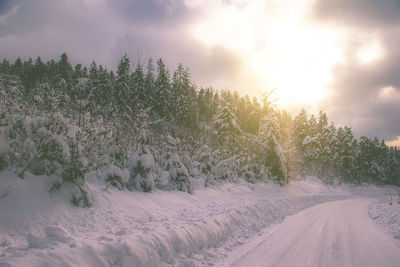 Trees on snow covered field against sky during sunset