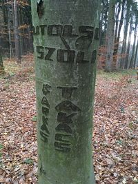 Information sign on tree trunk