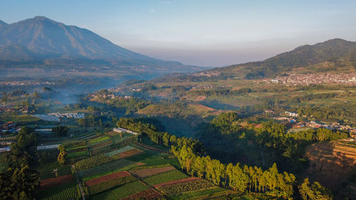 Aerial view of agricultural field against sky