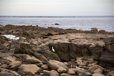 Scenic view of rocks on beach against sky