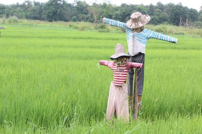 Scarecrows at rice paddy