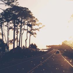 Road passing through forest