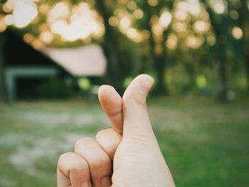 Cropped hand of person gesturing against trees in park during sunset