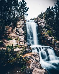 Scenic view of waterfall in forest