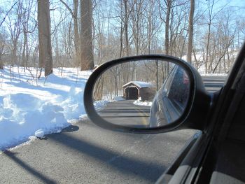 Reflection of trees in side-view mirror