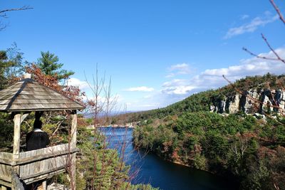 Plants by river and buildings against blue sky