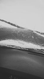 Close-up of water drops on white background