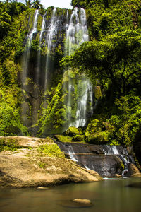 Scenic view of waterfall in forest