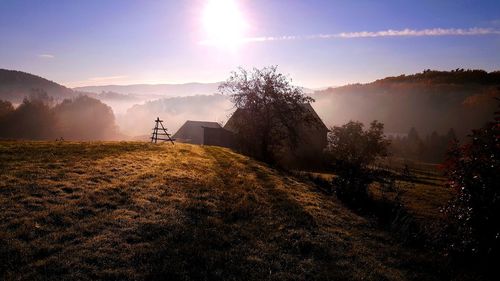 Scenic view of field against bright sun