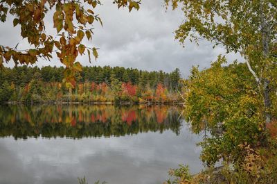 Reflection of trees in lake against sky during autumn