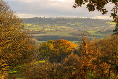 Scenic view of landscape against sky during autumn