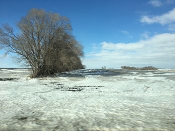 Scenic view of landscape against sky during winter