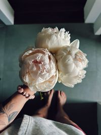 Close-up of hand holding rose