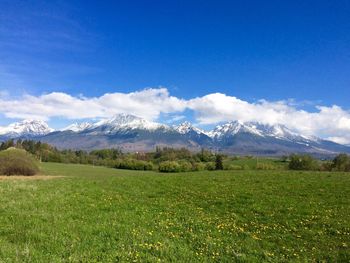 Scenic view of field and mountains against sky