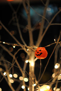 Close-up of ladybug on illuminated lights at night
