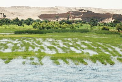 Scenic view of lake