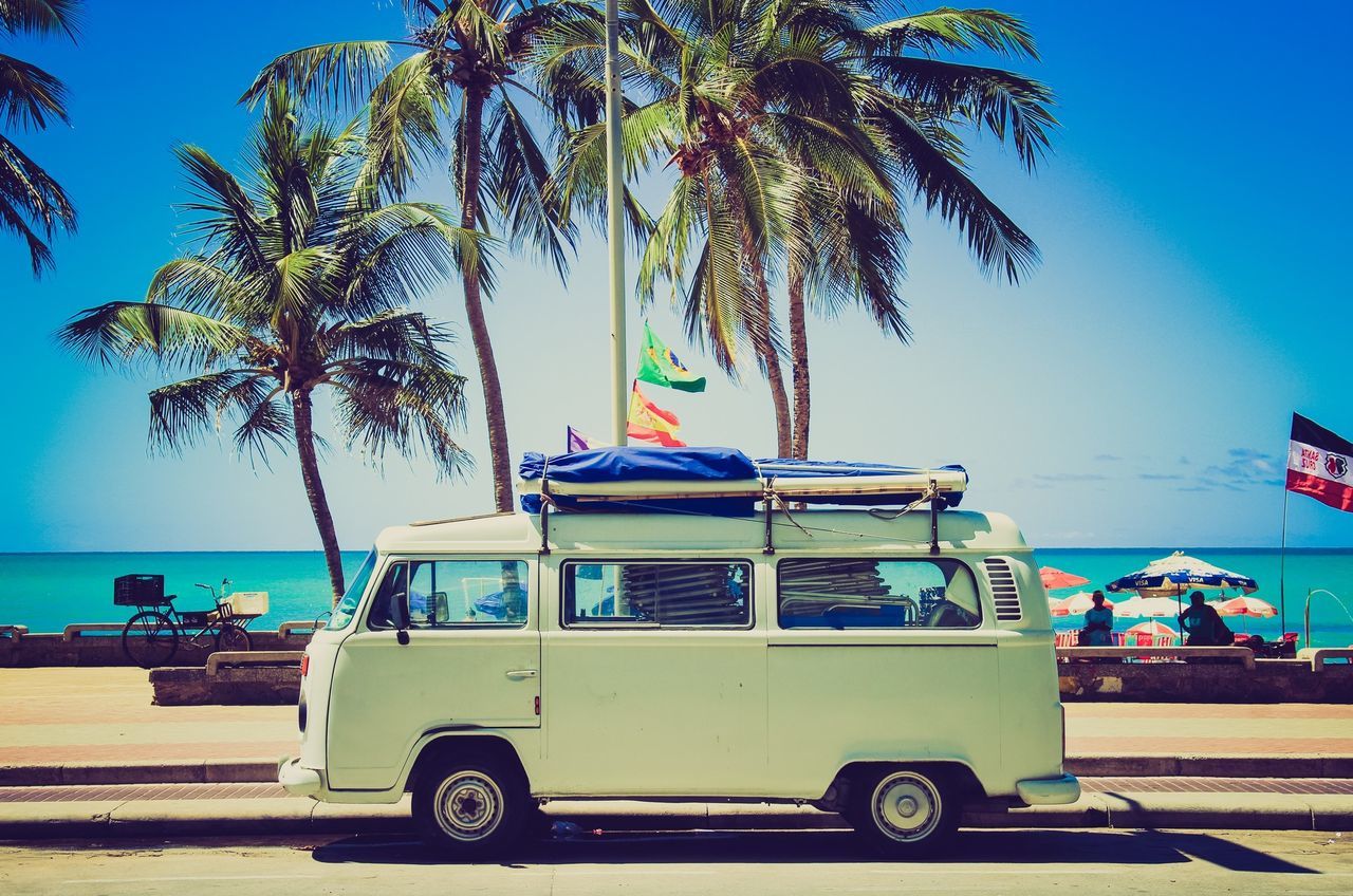 palm tree, tree, transportation, mode of transport, blue, land vehicle, sea, clear sky, car, sky, beach, incidental people, sunlight, travel, day, road, outdoors, horizon over water, men