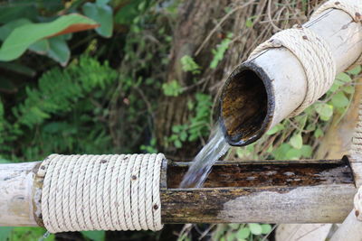 Close-up of rusty pipe on wood