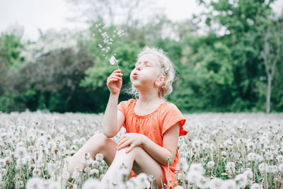 Making a wish. caucasian girl blowing dandelion flower. kid sitting in grass 