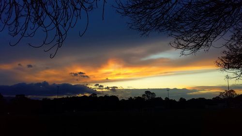 Silhouette of trees at sunset