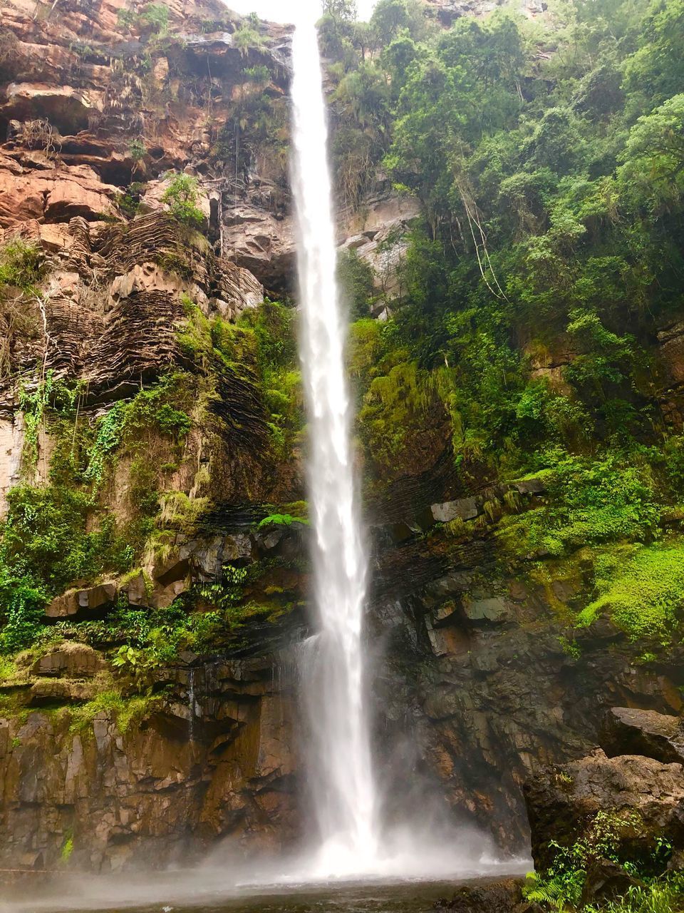 SCENIC VIEW OF WATERFALL AGAINST TREES