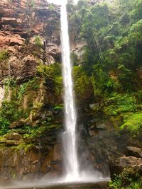 Scenic view of waterfall in forest