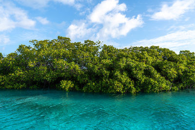 Scenic view of sea against sky