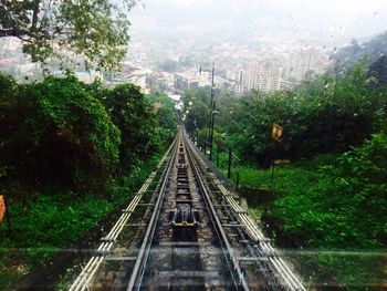 Railroad tracks amidst trees against sky