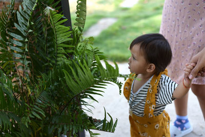 Preschoolers exploring nature little boy looking at fern leaves summer vacation for curious children