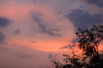 Low angle view of silhouette trees against romantic sky