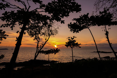 Silhouette trees by sea against sky during sunset