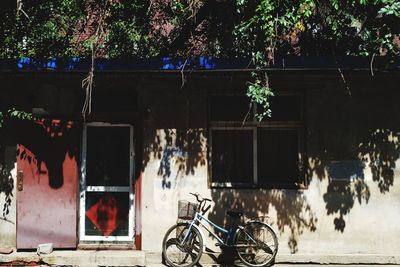 Bicycle by building at night