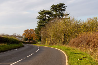 Road amidst trees against sky