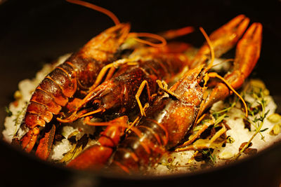 Close-up of crab in plate