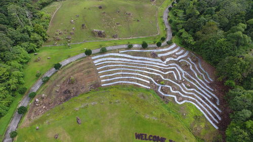 High angle view of rice field