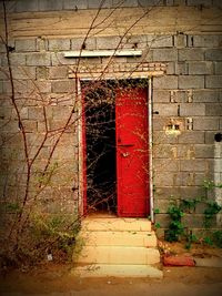 Brick wall with closed door