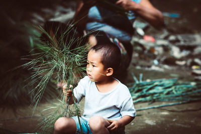 Cute boy holding plant looking away while sitting outdoors