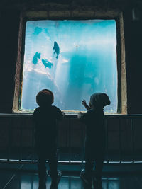 Rear view of man looking at aquarium