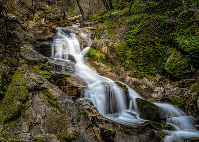 Scenic view of waterfall in forest