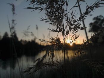 Scenic view of landscape against sky at sunset