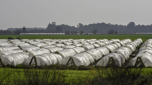 Hay bales on field against sky